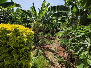 4bdrm Mansion in Muthaiga for rent - main view