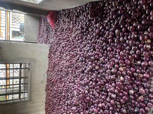 Well Cured Red Onions for Sale - thumbnail 2