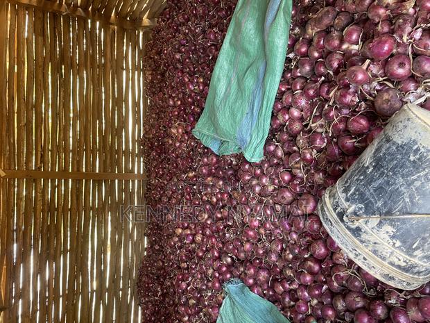 Well Cured Red Onions for Sale - thumbnail 5