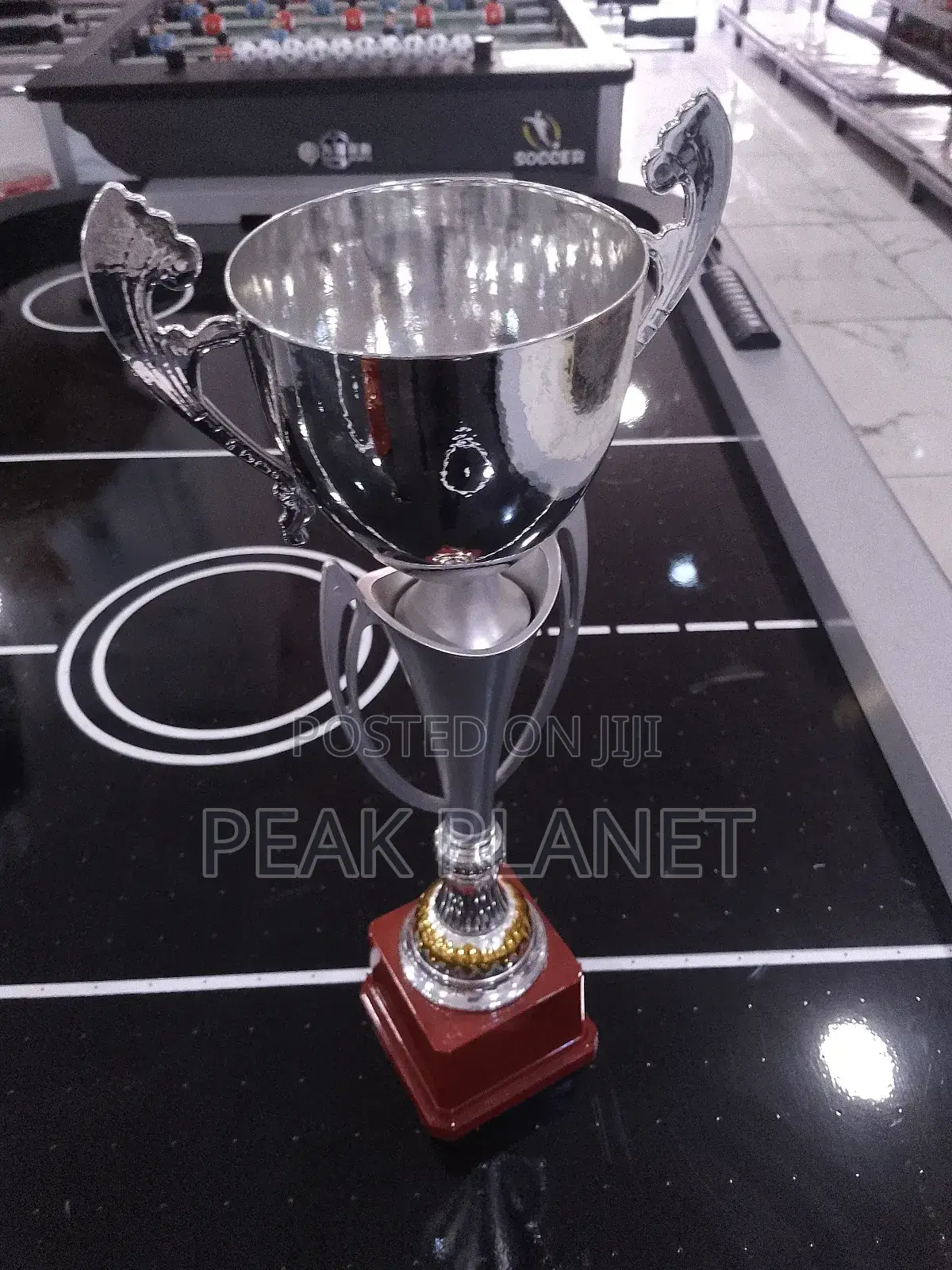 Professional Award Trophies for Ceremonies
