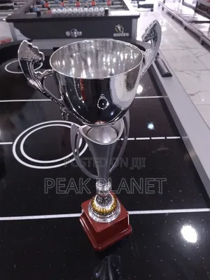 Professional Award Trophies for Ceremonies