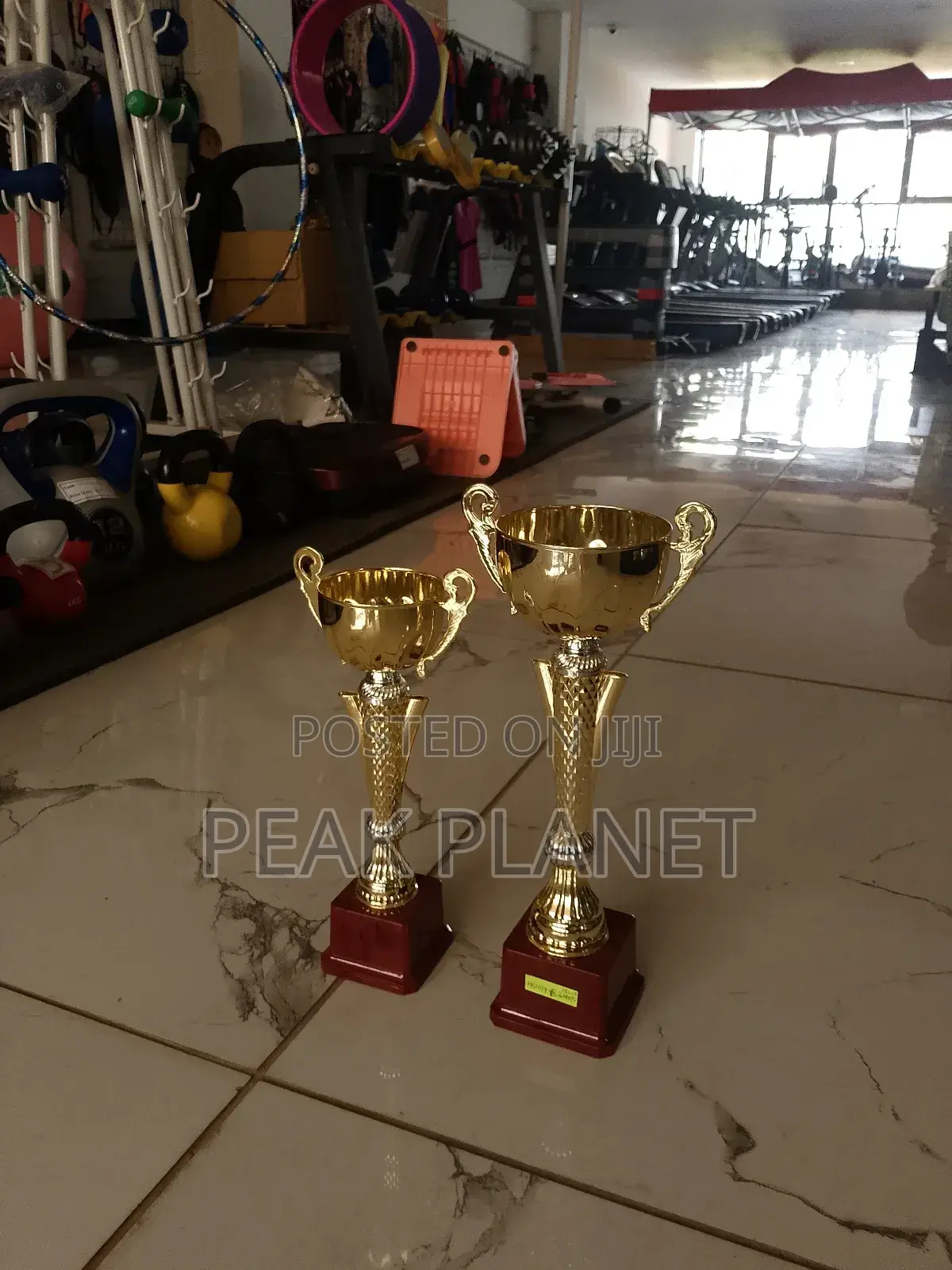 Customizable Award Trophies – Brand
