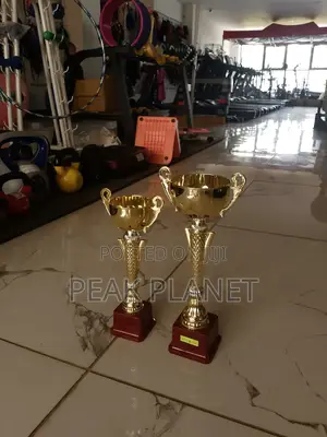 Customizable Award Trophies – Brand