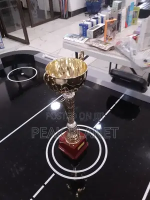 Sports Day Award Trophies – Ready for Delivery