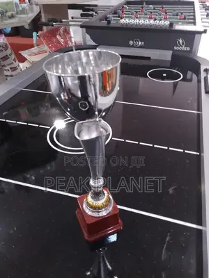 Award Trophies for Schools Institutions