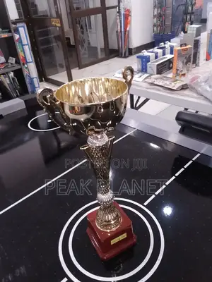 Award Trophies for Schools Institutions