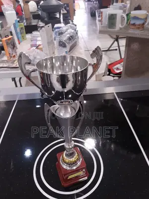 Award Trophies – Payment on Delivery Available