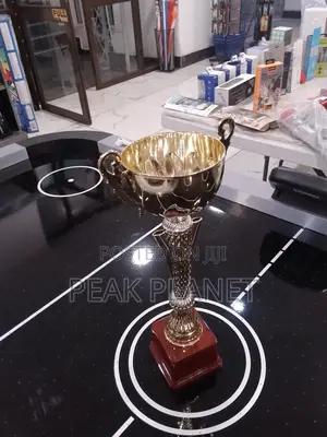 Premium Custom Award Trophies for Schools, Sports Corporate Events
