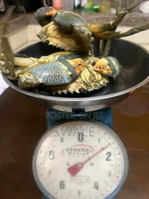 Crabs for Sale - main view