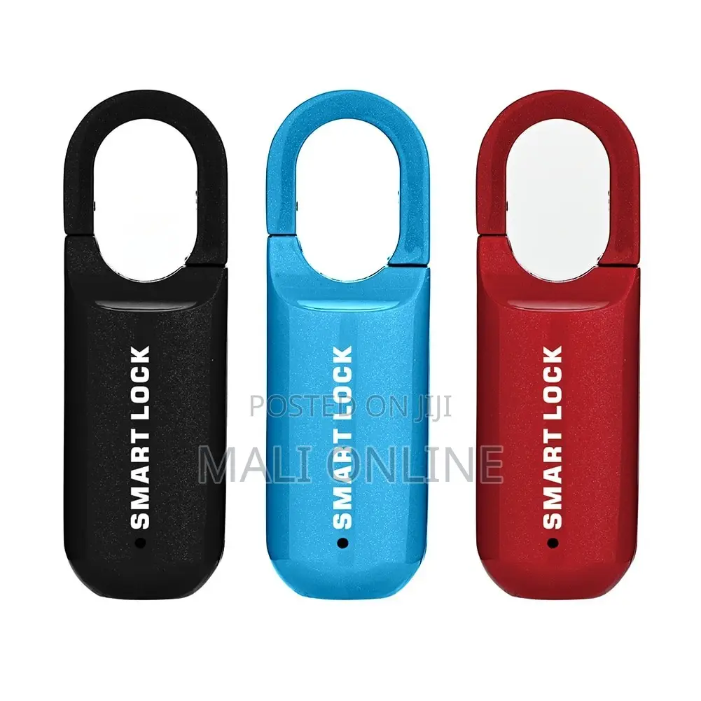 Smart Fingerprint Padlock Usb Keyless Anti-Theft Lock – Mini Touch