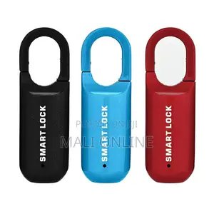 Smart Fingerprint Padlock Usb Keyless Anti-Theft Lock – Mini Touch
