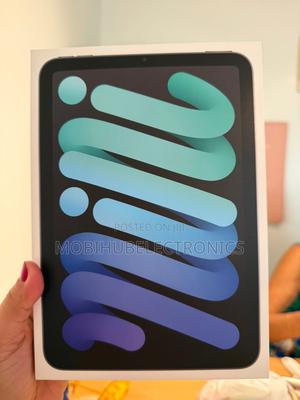 New Apple iPad mini 7 256 GB Gray - main view