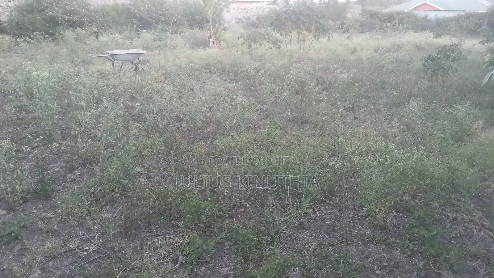 Quater Acre Land for Sale.