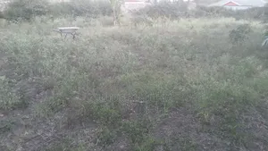 Quater Acre Land for Sale.