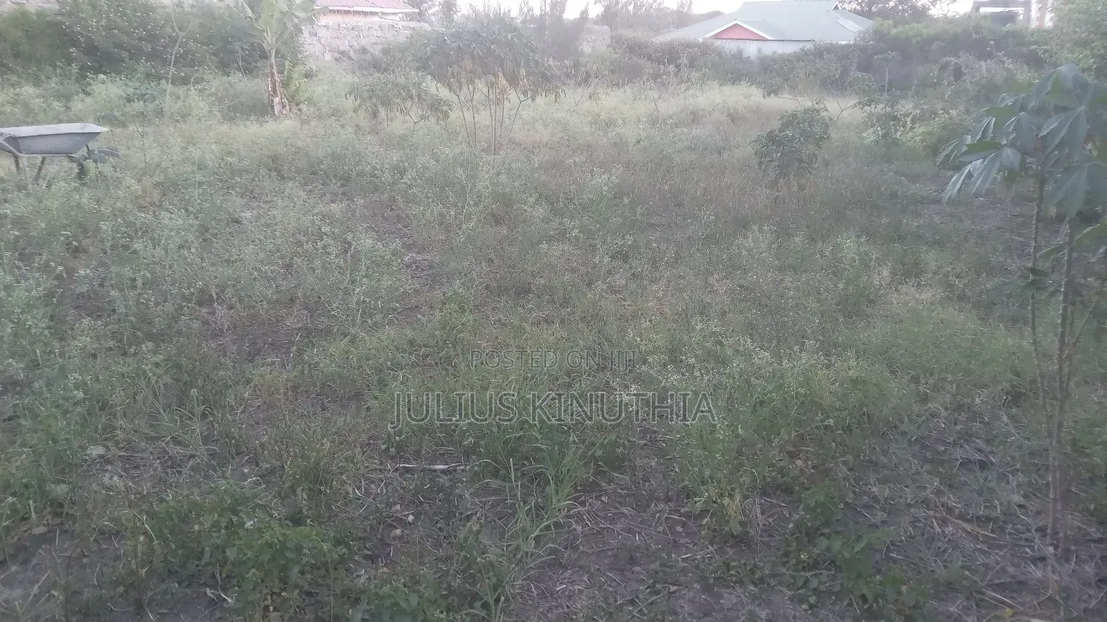 Quater Acre Land for Sale.
