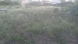 Quater Acre Land for Sale.