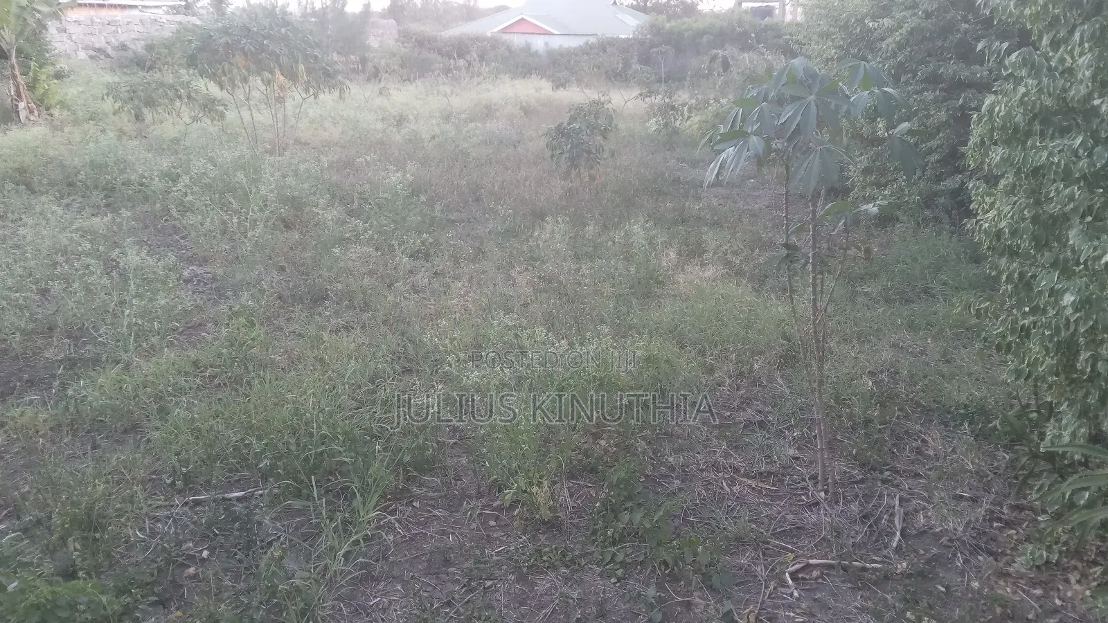 Quater Acre Land for Sale.