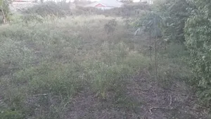Quater Acre Land for Sale.