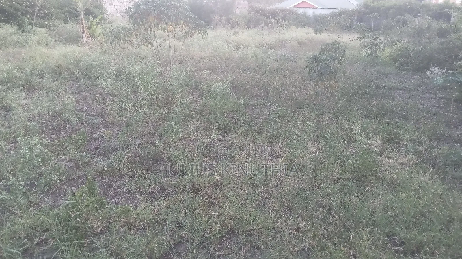 Quater Acre Land for Sale.