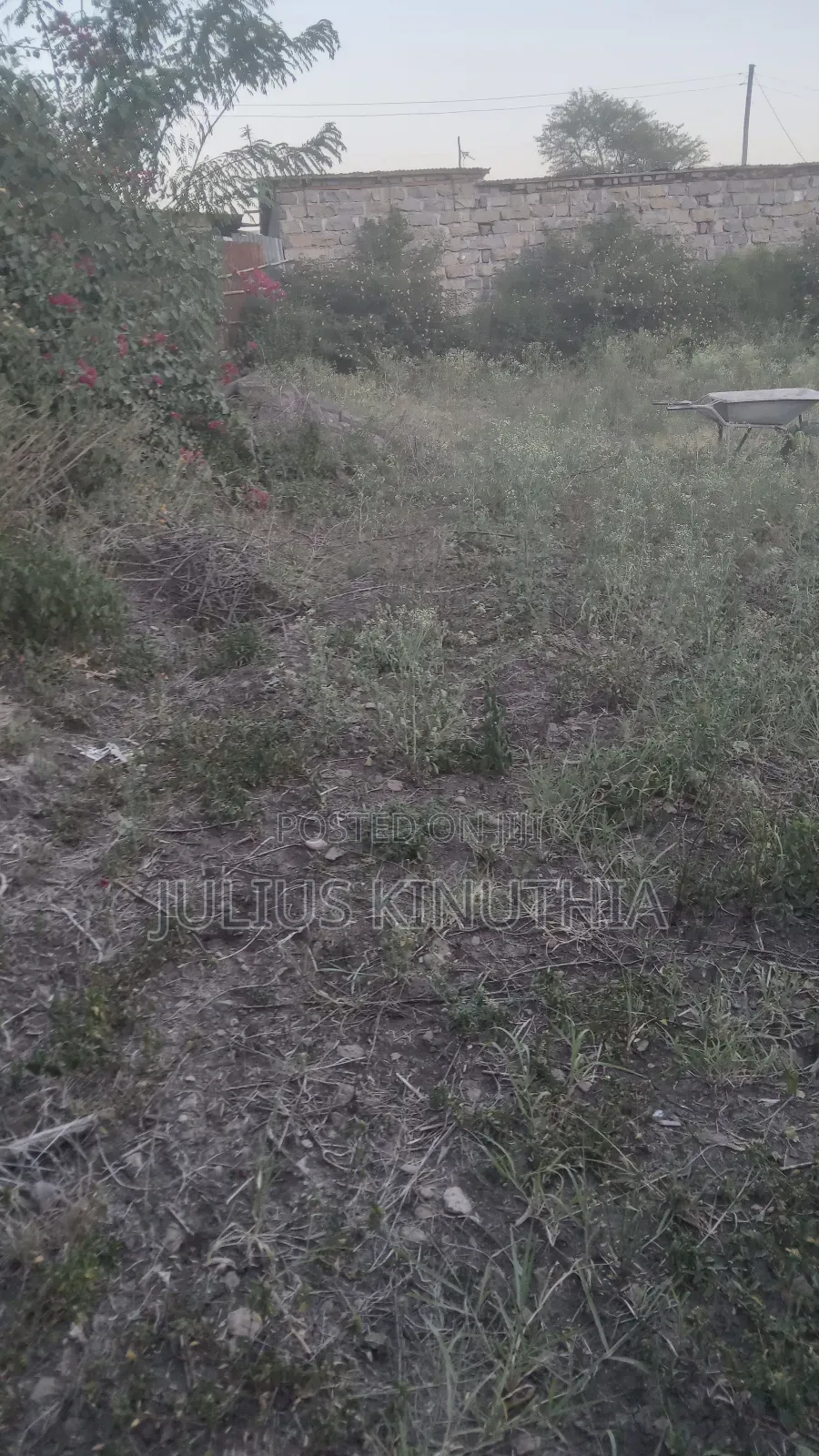 Quater Acre Land for Sale.
