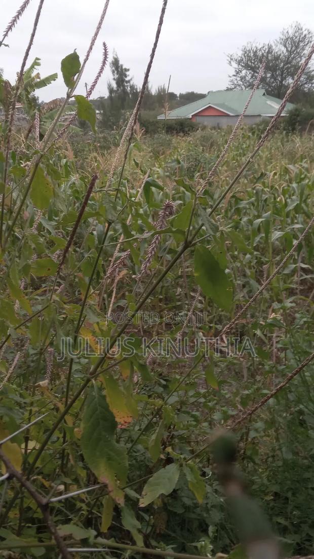 Quater Acre Land for Sale. - thumbnail 9