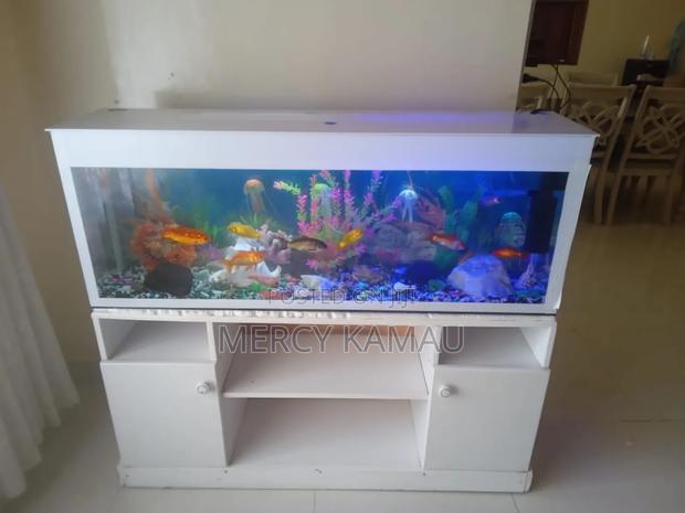 Aquarium and Fish - thumbnail 3