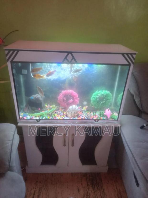 Aquarium and Fish - thumbnail 4