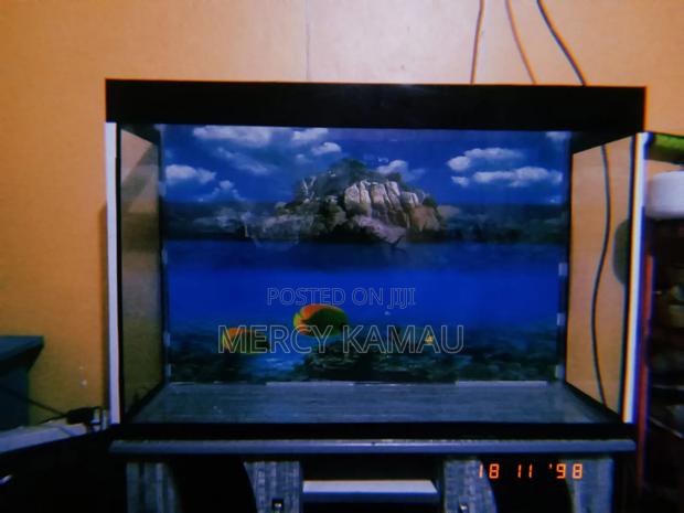 Aquarium and Fish - thumbnail 5