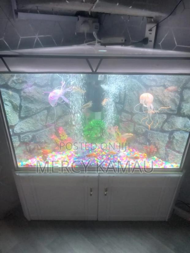 Aquarium and Fish - thumbnail 6