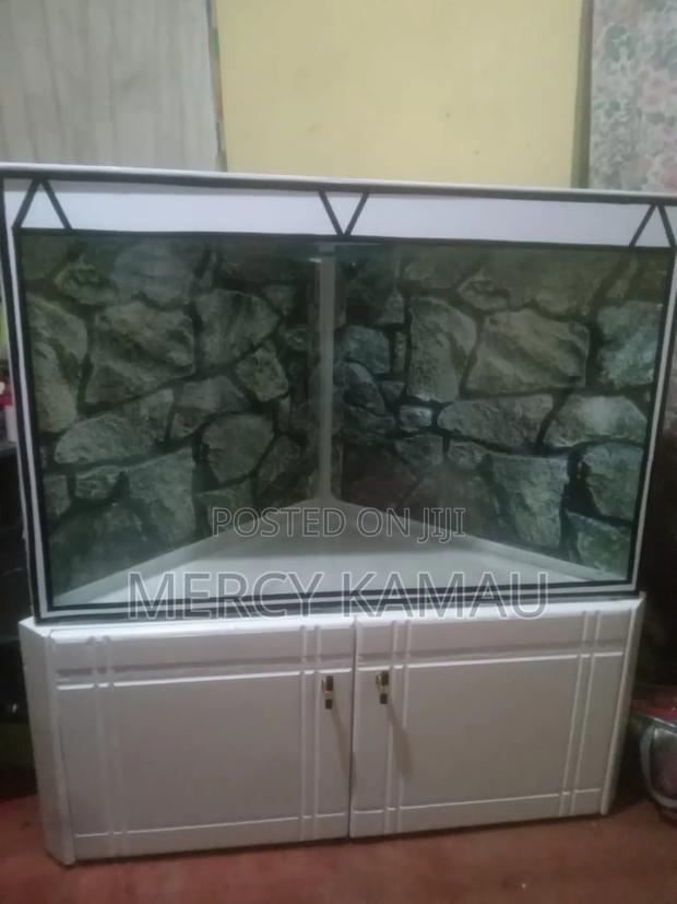 Aquarium and Fish - thumbnail 7