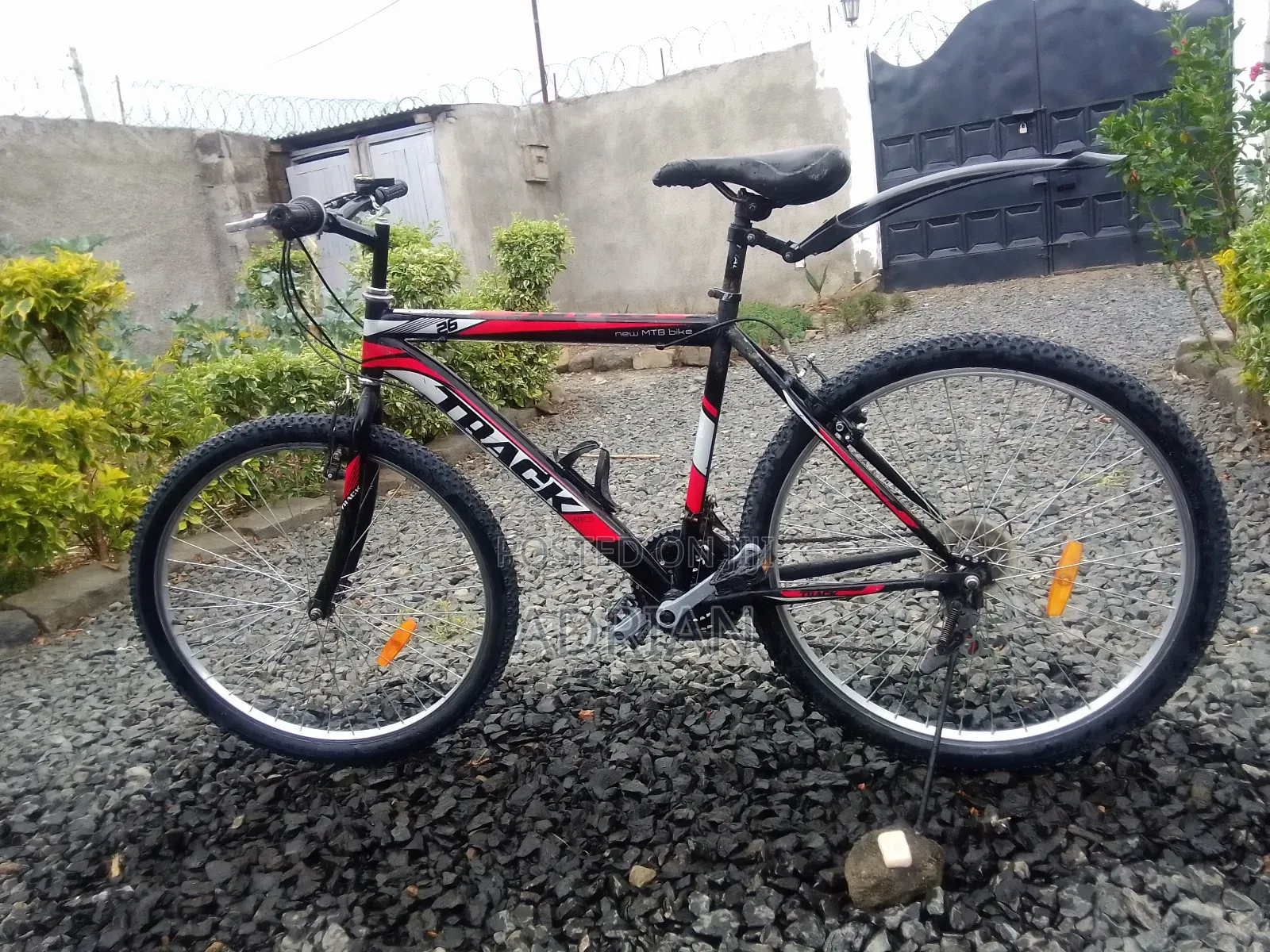 Mountain Bike