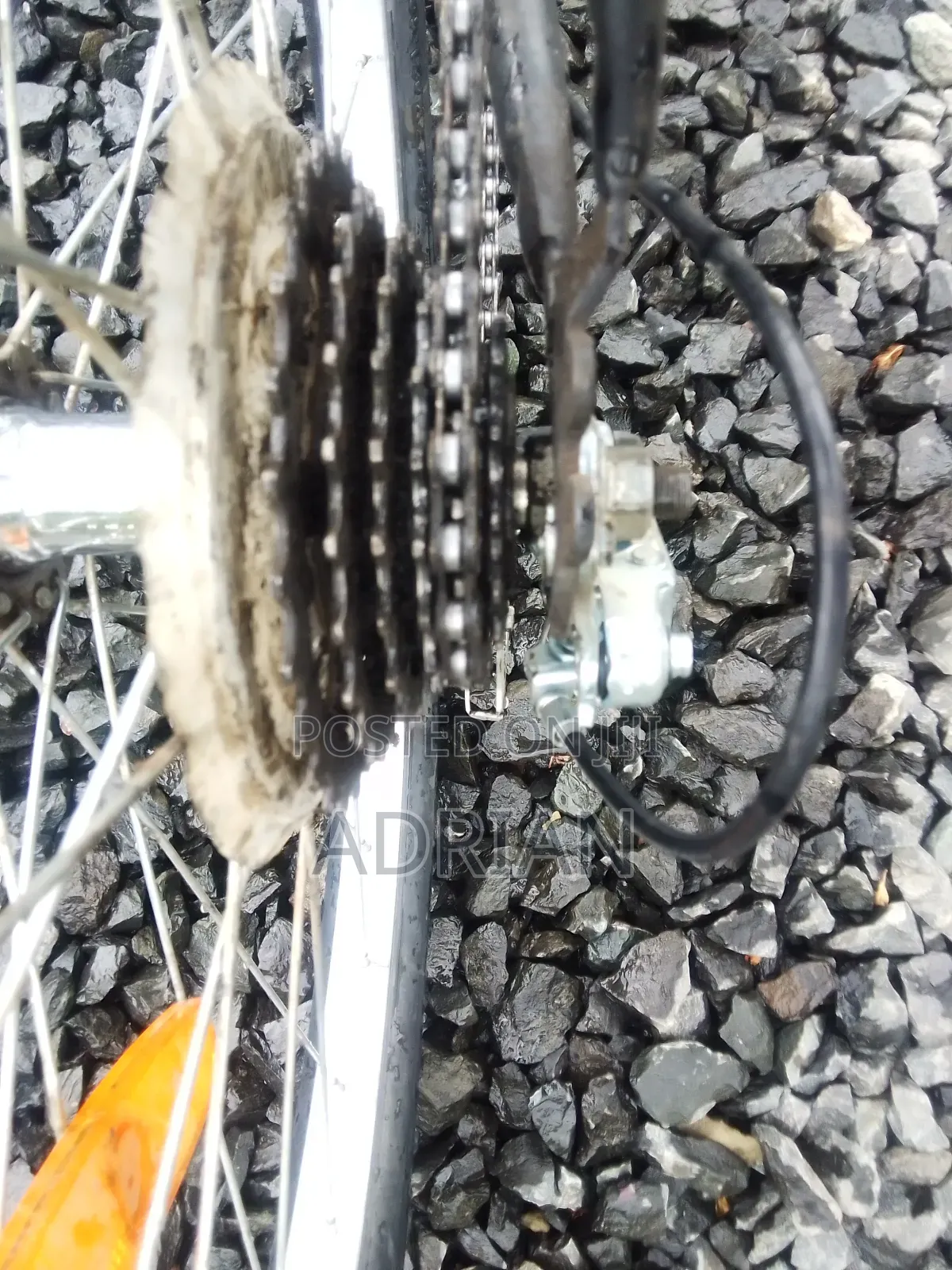 Mountain Bike