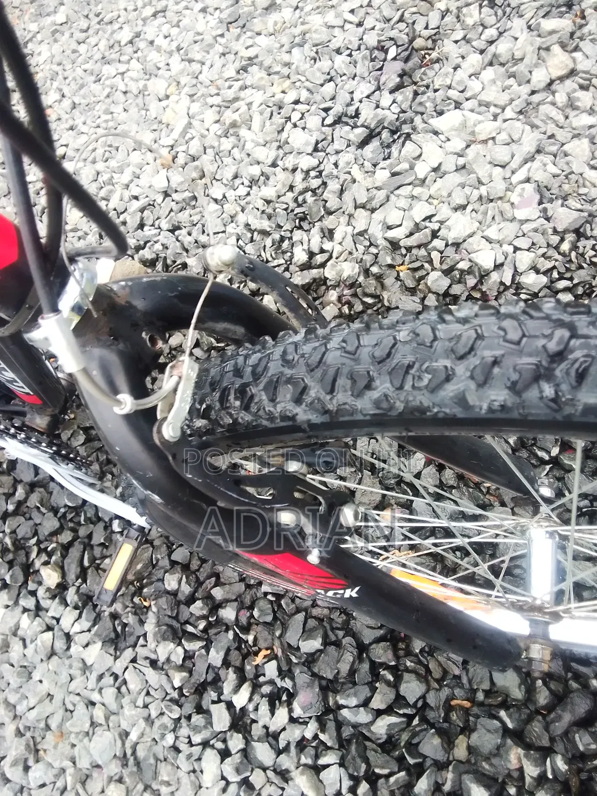 Mountain Bike