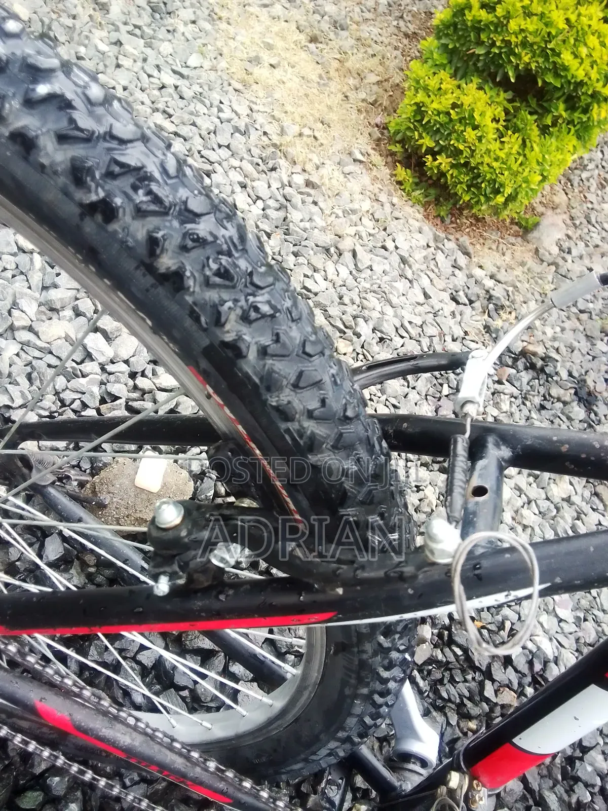 Mountain Bike