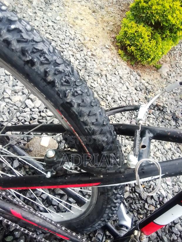 Mountain Bike - thumbnail 8