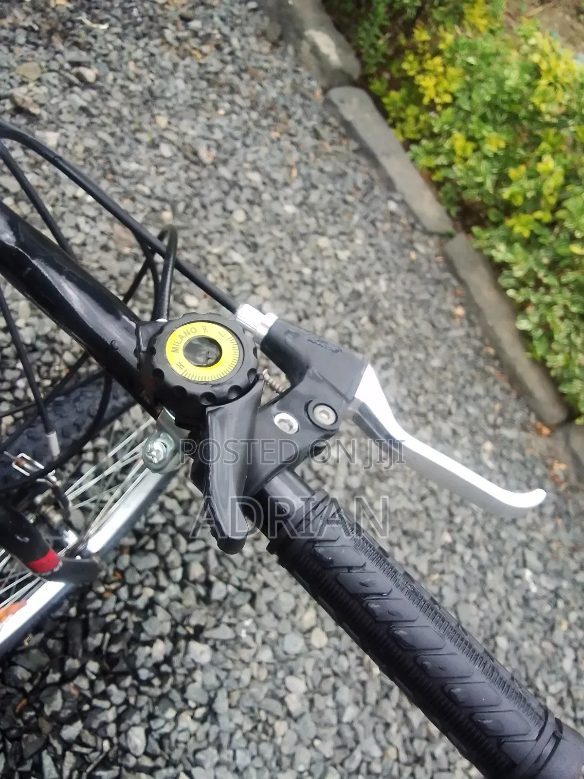 Mountain Bike