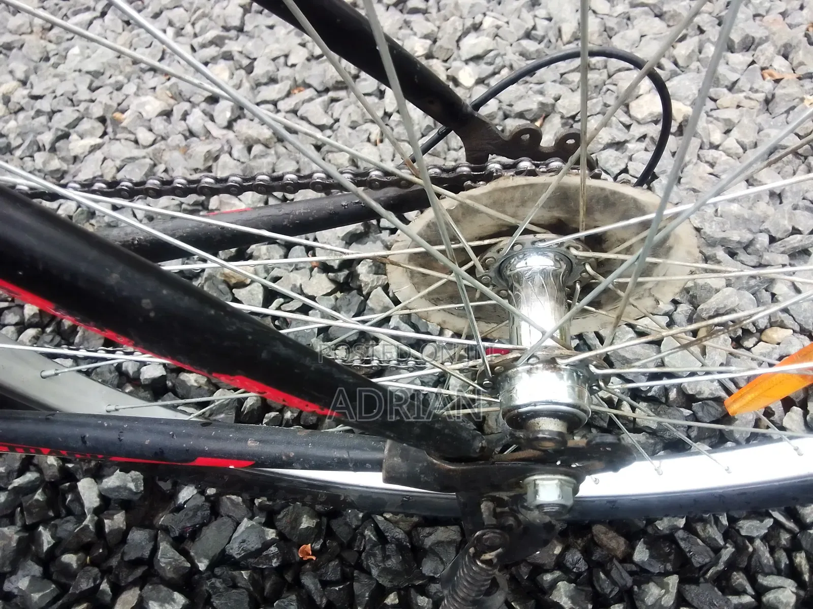 Mountain Bike