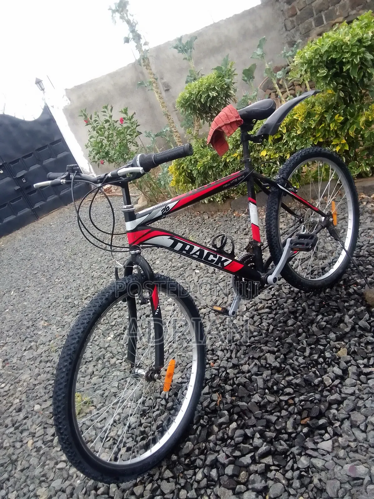 Mountain Bike