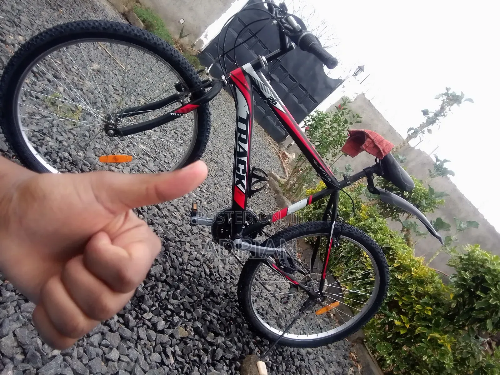 Mountain Bike