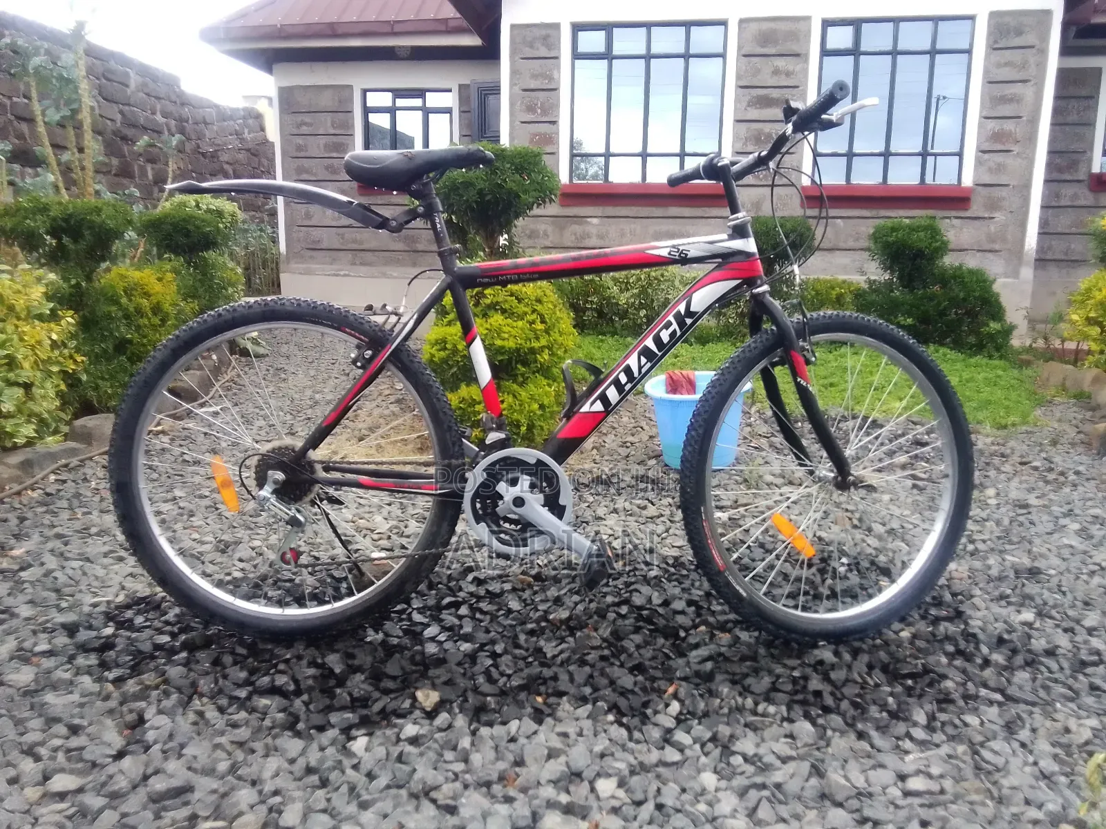 Mountain Bike