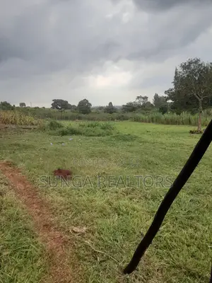 Land for Sale in Runda