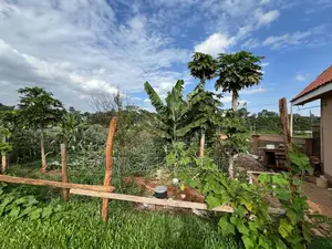 Land for Sale in Runda