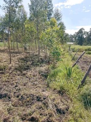 Selling One Acre in Homabay County at Rangwe in Asumbi - main view