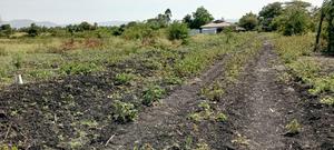Plots For Sale - thumbnail 2