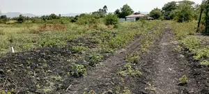 Plots For Sale