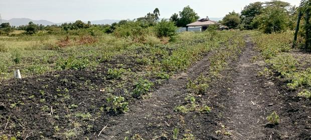 Plots For Sale - main view