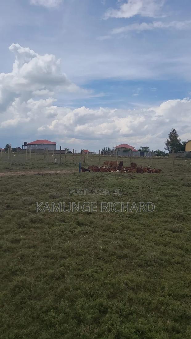 Joska Plot's for Sale - thumbnail 2