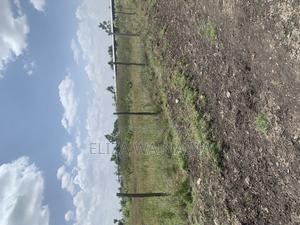 Plots for Sale - thumbnail 2