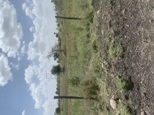 Plots for Sale