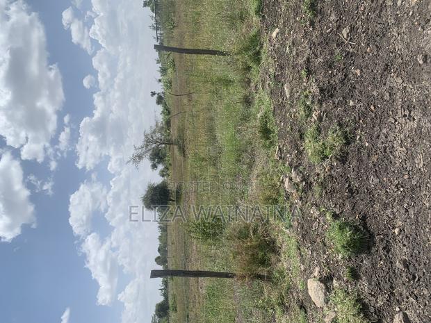 Plots for Sale - thumbnail 3